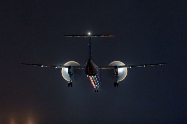 de Havilland Dash 8-400 (A464A) - ANA Wings - AKX / Bombardier DHC-8-402Q Dash 8 [DH8D]br /Jul.04.2019 New Chitose Airport [CTS/RJCC] JAPAN