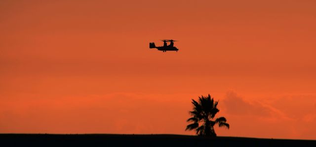 Bell V-22 Osprey — - This U.S. Marine Corps V-22 Osprey is with VMM-268 out of Miramar California. br /With Marine Aircraft Group 16 (MAG-16). The squadron is known as the "Red Dragons". br /SEMPER FI! 