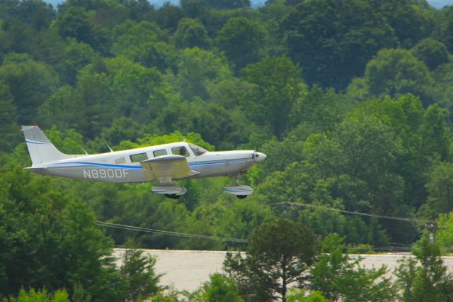 Piper Saratoga (N890DF)