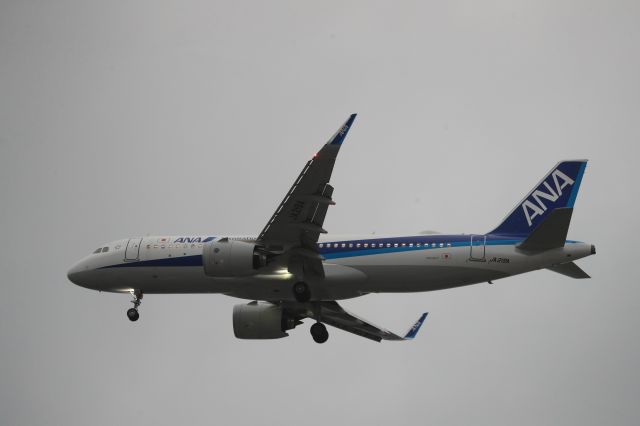 Airbus A320 (JA219A) - July 15th 2020:HND-HKD.