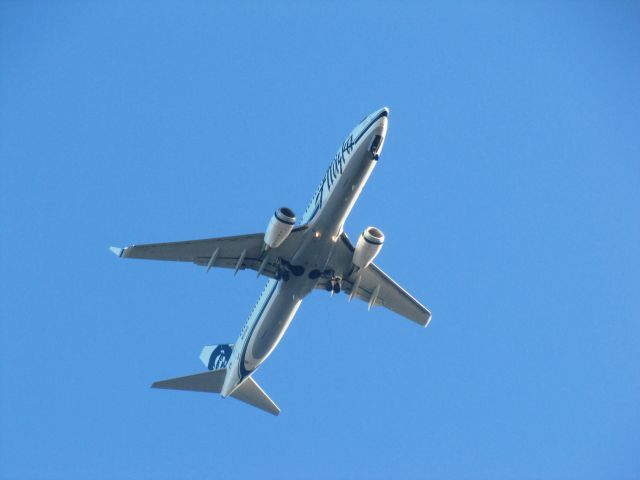 Boeing 737-800 (N531AS)