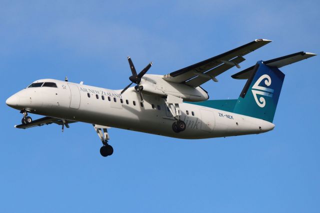 de Havilland Dash 8-300 (ZK-NEK)