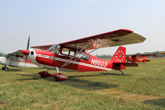 CHAMPION Tri-Traveler (N8503) - Bellanca 7ECA Citabria.