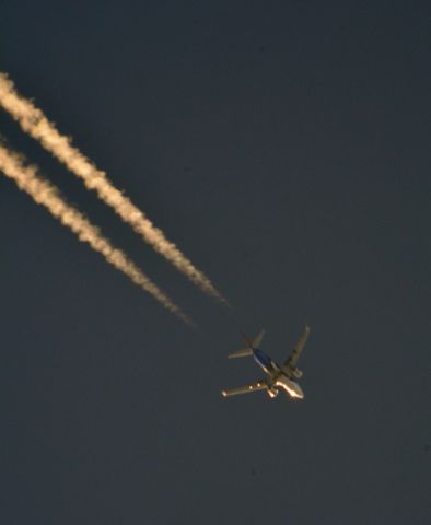 Boeing 737-700 — - Southwest Sea World Shamu Jet