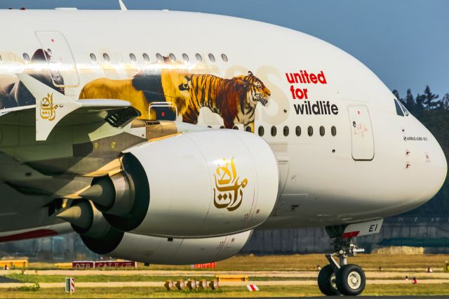 Airbus A380-800 (A6-EEI) - Rwy 18