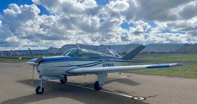 Beechcraft 35 Bonanza (FFL123)