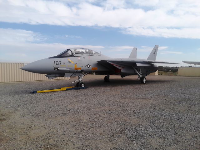 Grumman F-14 Tomcat — - Grumman F-14 Tomcat on display at Palm Springs Air Museum