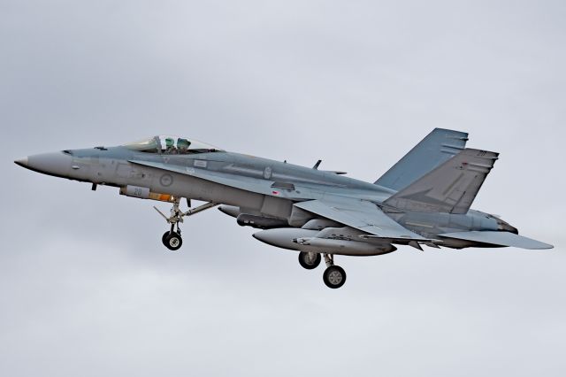 Boeing Hornet (A2120) - McDonnell FA-18A RAAF serial A21-20, on strength with RAAF 75 sqn YPEA 21 February 2020. Still in RAAF 77 sqn low viz markings.