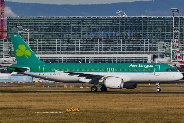 Airbus A320 (EI-DEG)