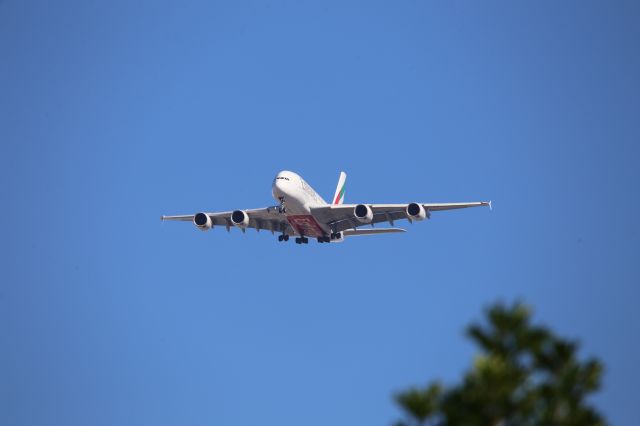 Airbus A380-800 (A6-EUW)