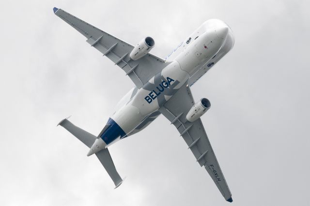 Airbus A330-300 (F-GXLH) - Beluga XL 2