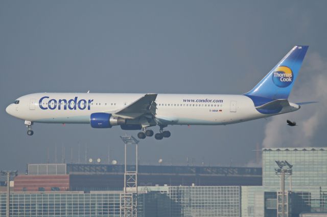 BOEING 767-300 (D-ABUA) - date: 31-Dec-2008