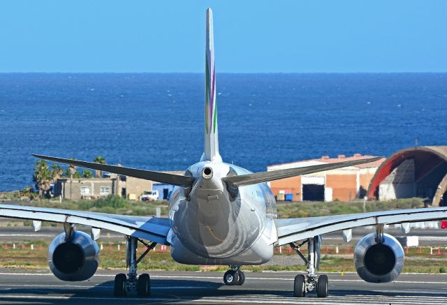 Airbus A330-300 (EC-NHM)