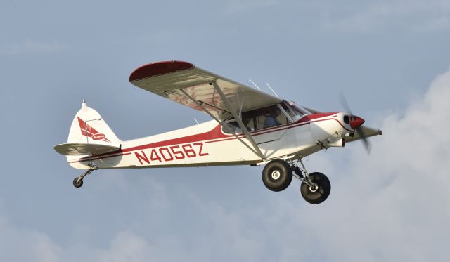 Piper L-21 Super Cub (N4056Z) - Airventure 2017