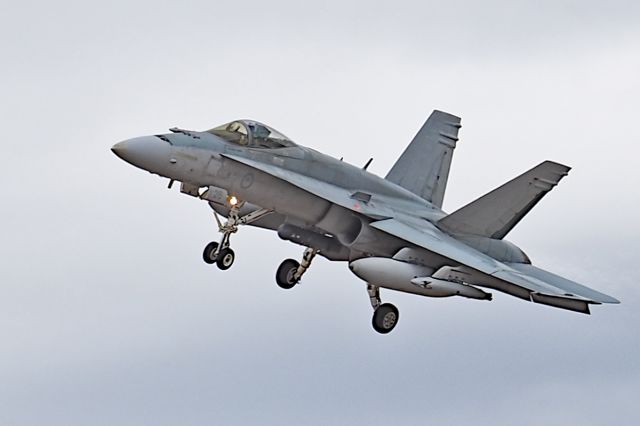 Boeing Hornet (A2126) - McDonnell FA-18A RAAF serial A21-26, RAAF 75 sqn YPEA 21February 2020.