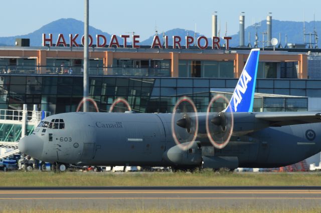 Lockheed C-130 Hercules (13-0603) - hakodate airport hokkaido japan