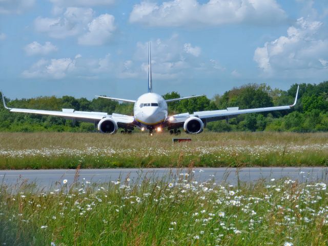 Boeing 737-700 (EI-EKS) - Arrivée à Nantes Atlantique