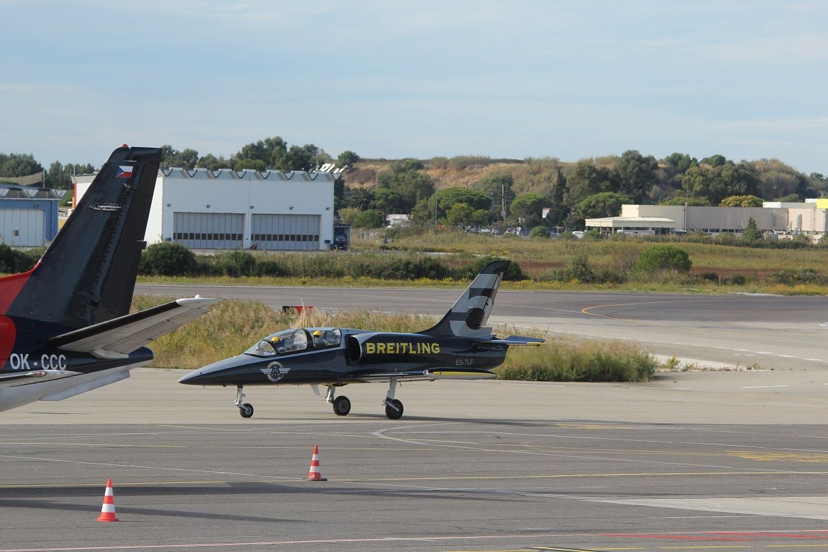 Aero L-39 Albatros (ES-TLF) - 11 oct 2013