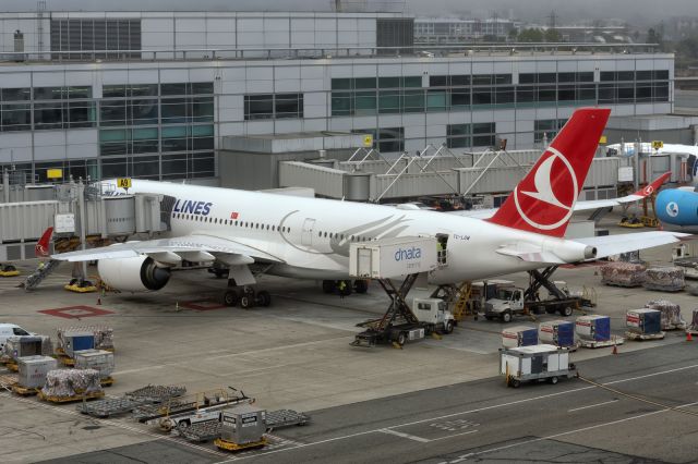 Airbus A350-900 (TC-LGM) - 17th August, 2024: Preparing to leave for Istanbul Havalimani as flight TK 080 from international terminal gate A9 at SFO. This is the 7000th photo at KSFO in the Flightaware database :)