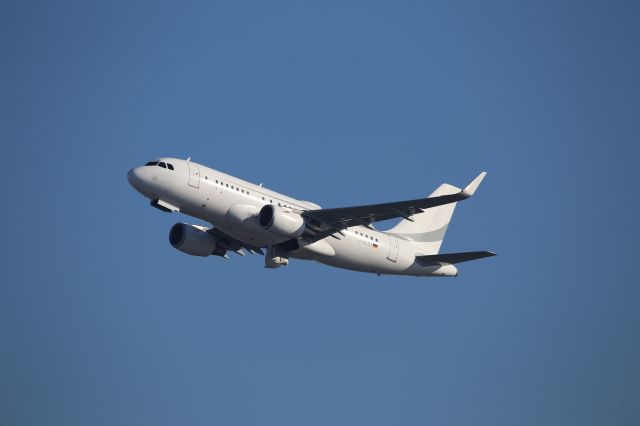 Airbus A319 (D-ALEX)