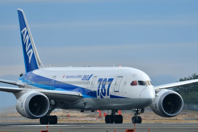 Boeing 787-8 (JA812A)