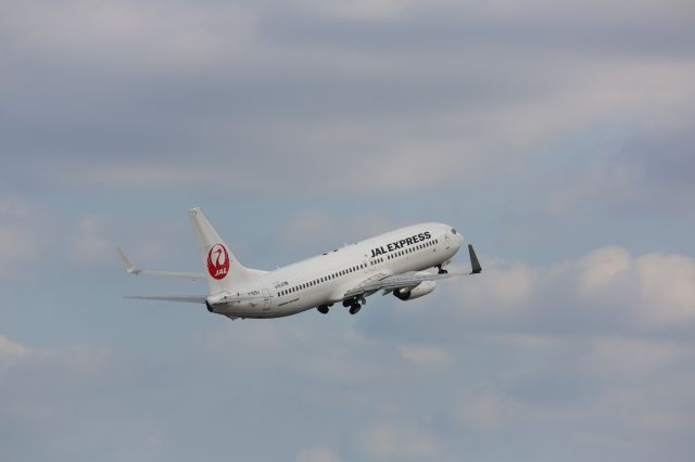 Boeing 737-800 (JA329J)