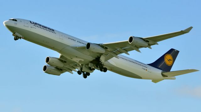 Airbus A340-300 (D-AIGX)