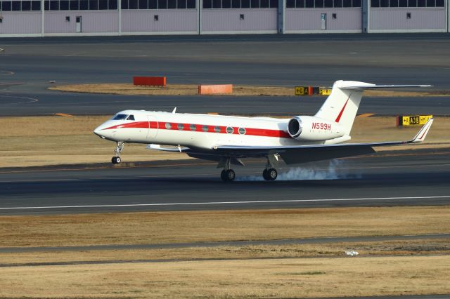 Gulfstream Aerospace Gulfstream V (N599H)