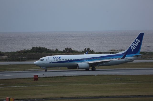 Boeing 737-800 (JA65AN)