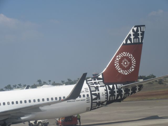 Boeing 737-800 (DQ-FJH)