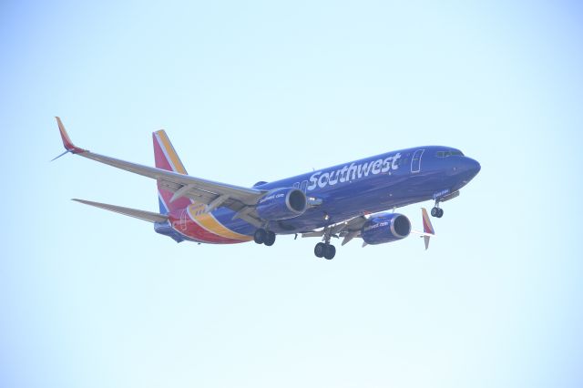 Boeing 737-800 (N8329B)