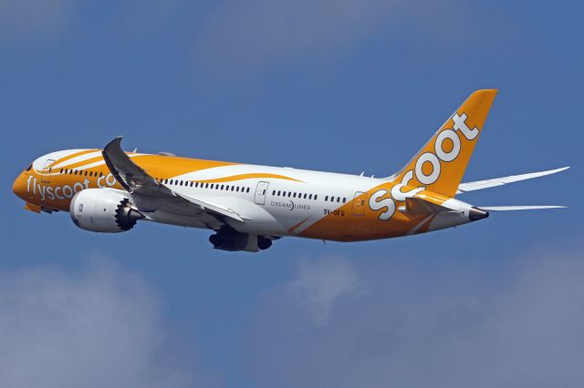 Boeing 787-8 (9V-OFG)