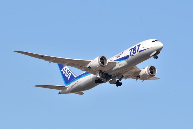 Boeing 787-8 (JA820A) - 2015/12/26