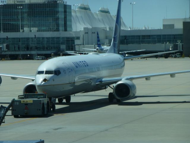 Boeing 737-700 (N37420) - United Denver bird strike