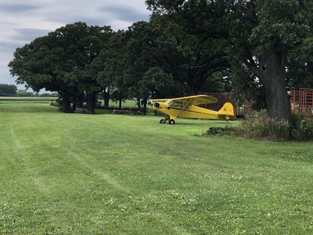 Piper NE Cub (N1412N) - Down on the farm 