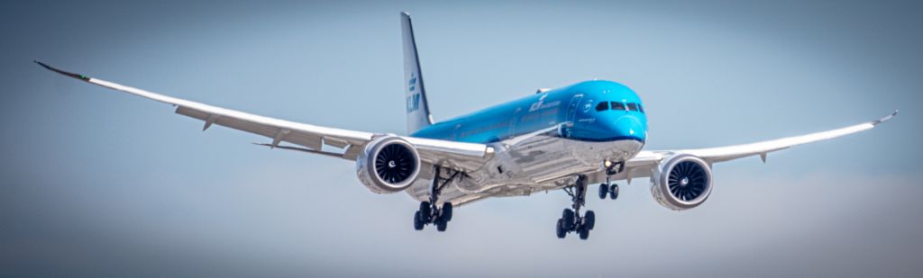 BOEING 787-10 Dreamliner (PH-BKD) - landing at LAX