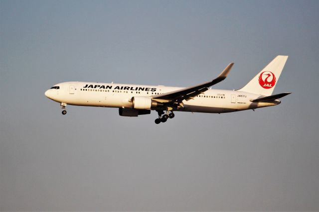 BOEING 767-300 (JA617J)