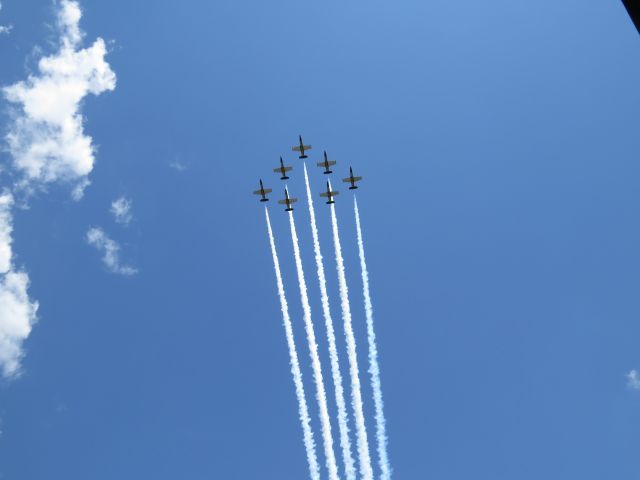 Aero L-39 Albatros — - Breitling L-39 Albatros