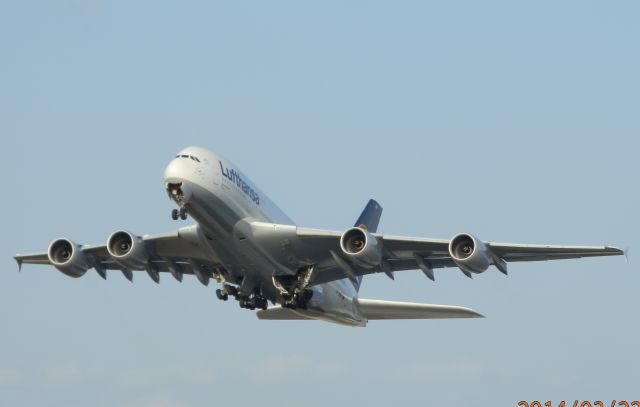 Airbus A380-800 (D-AIMF)