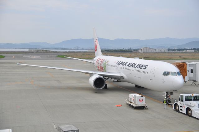 BOEING 767-300 (JA656J)