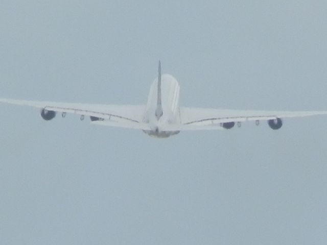 Airbus A380-800 (D-AIMG)