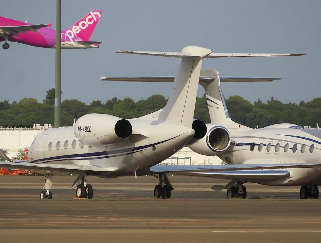 Gulfstream Aerospace Gulfstream IV (M-ABCD) - Photo taken on Apr 21, 2023.