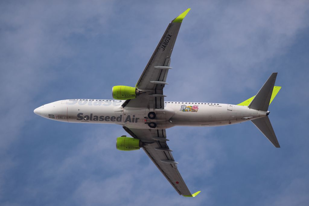 Boeing 737-800 (JA803X)