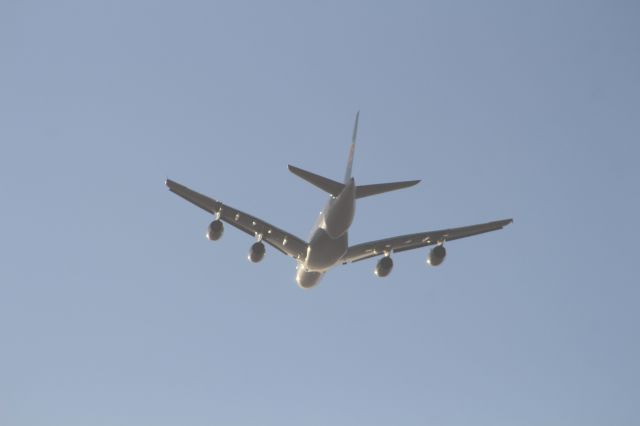 Airbus A380-800 (B-6136) - FINAL APPROACH KLAX 24R