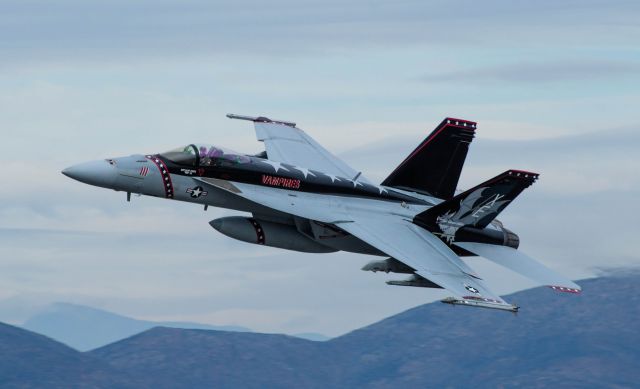 McDonnell Douglas FA-18 Hornet (16-6597) - F/A-18 "Vandy 1" from VX-9.