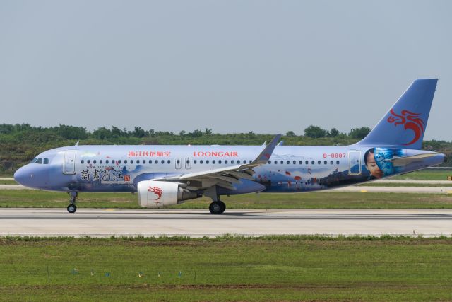 Airbus A320 (B-8897) - LOONG air's 'picture zhejiang' livery arrived at ZSNJ-19.6.3