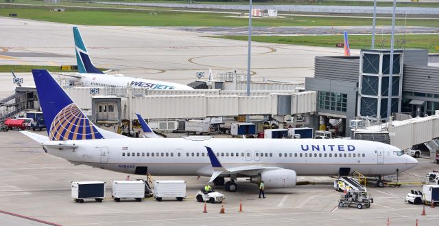 Boeing 737-700 (N38443)