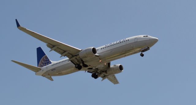 Boeing 737-800 (N87513)