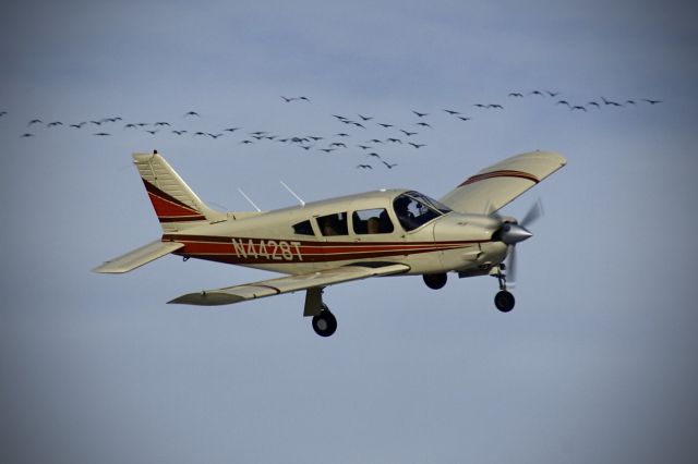 Piper Cherokee Arrow (N4428T) - 28 November 2021.  Not Photo Shopped….