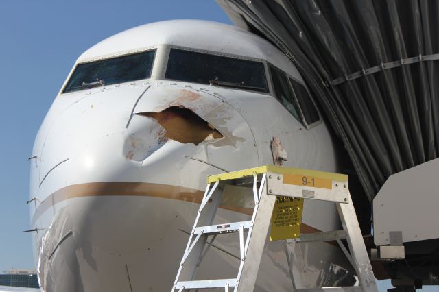 Boeing 737-900 (N37420) - Bird strike on approach to DIA on 7-31-12. Judging by the size of the hole, I say the plane hit one of Santas reindeer, not a bird.